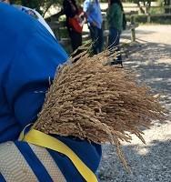 2022 Confrérie du Riz de Camargue