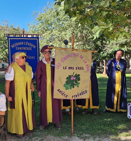 2026 figues 7 