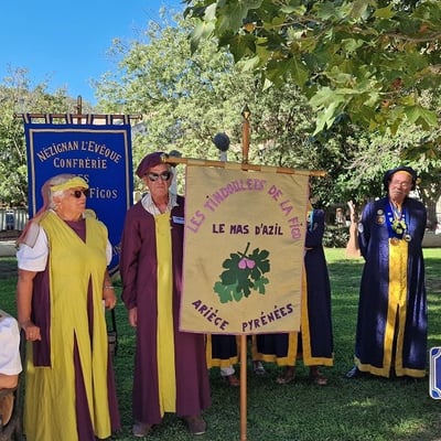 2026 figues 7 