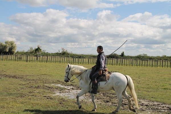 Riz de camargue 10 