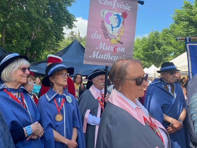 St nectaire 15 