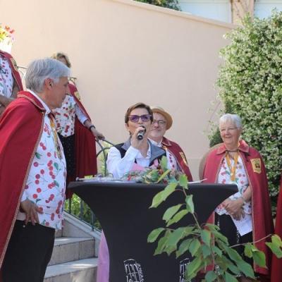 2024 Confrérie de la Cerise Précoce du Luc